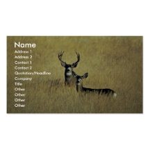 Mule Deer Business Cards