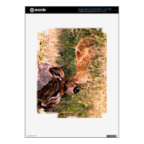 Mule Deer Doe iPad 3 Skin