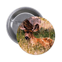 Mule Deer Doe Pin