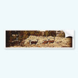 Mule Deer Does bumper stickers