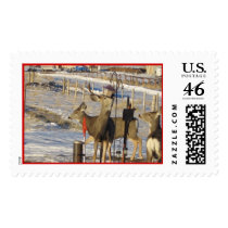 Mule deer in bird feeder! stamp