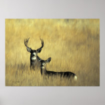 Mule Deer in Brush Print