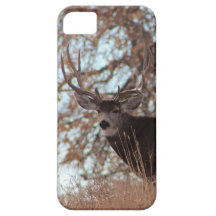Mule Deer Phone Case iPhone 5 Cover
