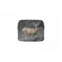 Mule Deer posters by mjimaging Mule Deer posters