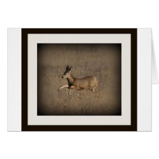 Mule Deer Running card
