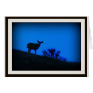 Mule Deer Sillouette card