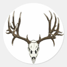 Mule Deer skull Stickers