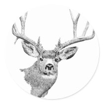Mule Deer Sticker