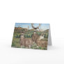 Mule Deer Wildlife Art Greeting Cards