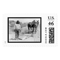 Mule-drawn Plow and Indian 1920 postage by lc_vintagephotos Mule-drawn Plow and Indian 1920 postage