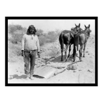 Mule-drawn Plow and Indian 1920 posters