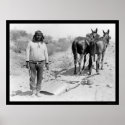 Mule-drawn Plow and Indian 1920 posters