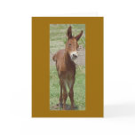 Mule Greeting Card