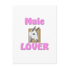  - This handsome mule head with the words 