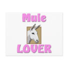  - This handsome mule head with the words 