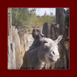 Mule magnets