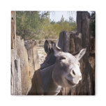 Mule magnets
