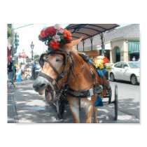 Mule ride posters