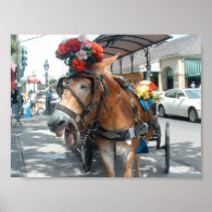 Mule ride print