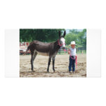 mule show in wooford ky 024 custom photo card