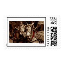Mule Speak postage