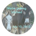 Mule sticker-customize by MakaraPhotos Mule sticker-customize