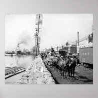Mule Teams on the Levee, New Orleans: 1903 Posters