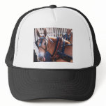 mules and donkeys 026 trucker hats