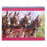 mules and donkeys wall calendars