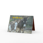 Mules Anniversary card- customize any occasion