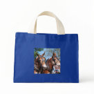 tinytote - Mule Days in Columbia , TN
