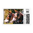 postcard - PAIR OF MULES IN HARNESS postcard - PAIR OF MULES IN HARNESS