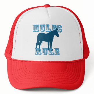 Mules Rule mesh backed nylon cap. This mule lover hat will be a favorite.