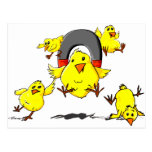 Multi_Chick_magnet_Lt Post Card