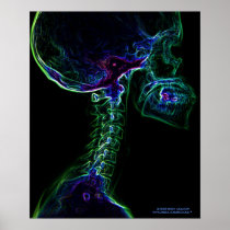 Multi-color  C-Spine X-ray poster