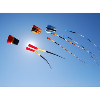 Multi Color Long Tail Kites Post Cards