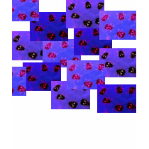 Multi Color Skulls-Fitted T-Shirt
