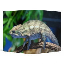 Multi-Colored Chameleon 2 Vinyl Binders