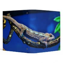 Multi-Colored Chameleon Vinyl Binder