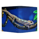 Multi-Colored Chameleon Vinyl Binder