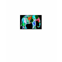 Multi-Colored Elephant t-shirts by Perlyyyy Multi-Colored Elephant t-shirts