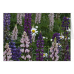 Multi - Colored Floral Field Greeting Card