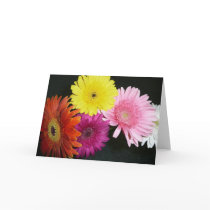 Multi colored gerbers greeting card