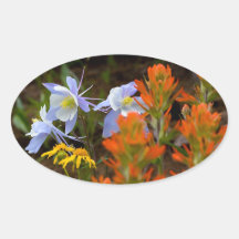 Multi-colored Oval Sticker