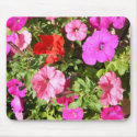 Multi-colored Petunias mousepads by princessklb07 Multi-colored Petunias mousepads