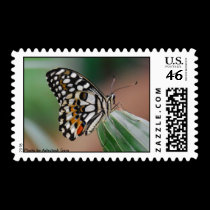 Multi-colored spotted Butterfly Postage postage by Rajee1 Multi-colored spotted Butterfly Postage postage