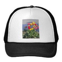 Multi-Colored Tulips CAM00235.jpg Mesh Hats