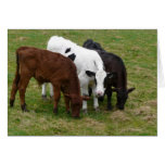 Multi-COW-tural Card