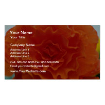 Multi-Petaled Round Orange Flower flowers Business Card