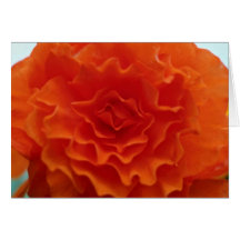 Multi-Petaled Round Orange Flower flowers Greeting Card